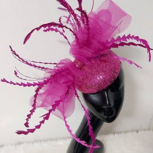 Elegant Fascinator in Lagos